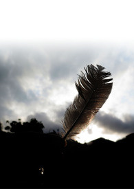 ���ͻ�Ұ���������ġ�