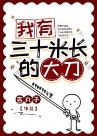 ������ʮ�׳��Ĵ�